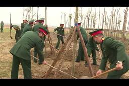 Bộ Chỉ huy Quân sự tỉnh Thừa Thiên Huế: Phát động “Tết trồng cây đời đời nhớ ơn Bác Hồ”